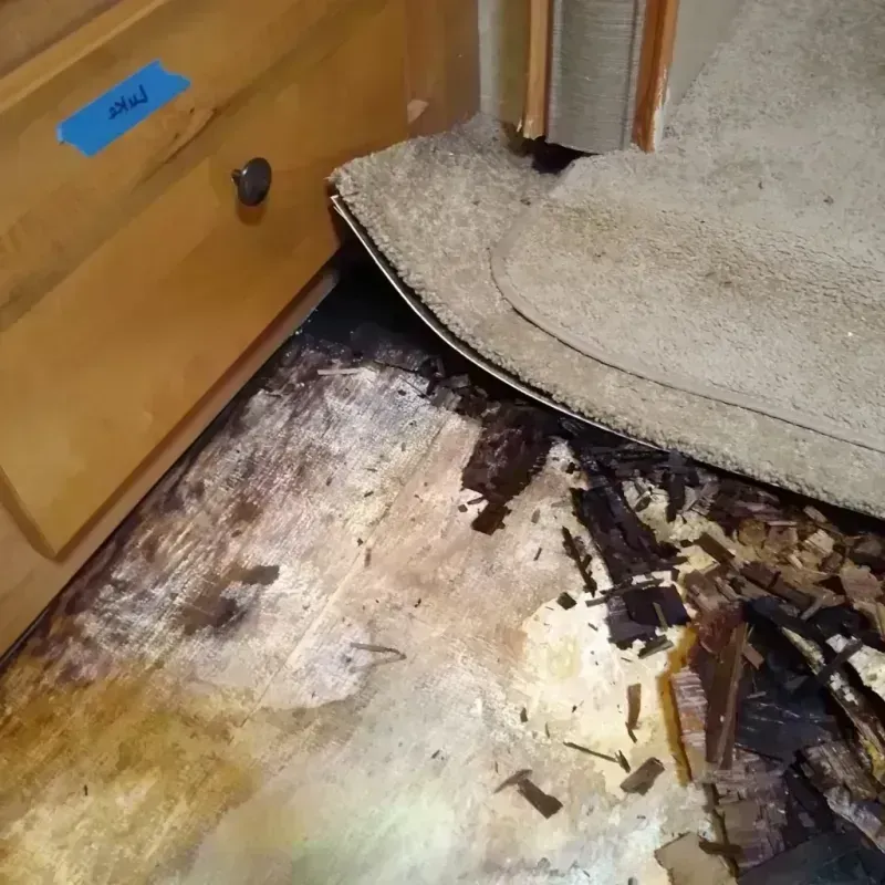 Wood Floor Water Damage in White Cloud, MI